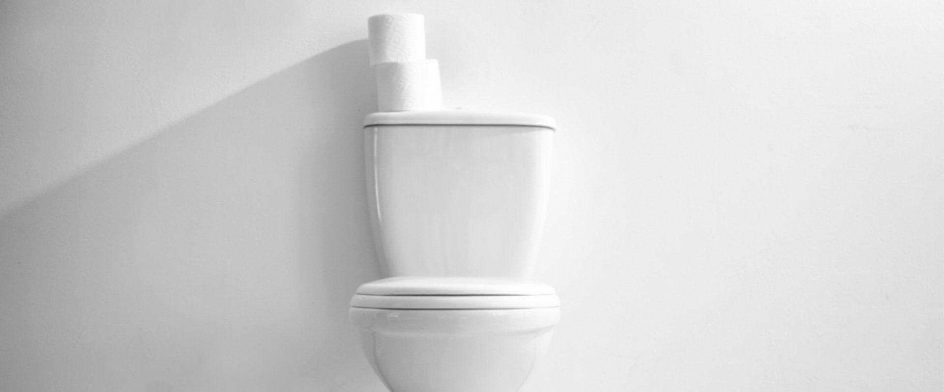 Toilet Talk! Where did it all come from?