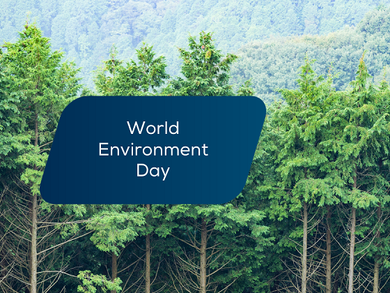 Journée mondiale de l'environnement 